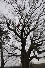 image Coaching projet professionnel Reconnessens