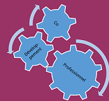image Le Co-Developpement avec Reconnessens
